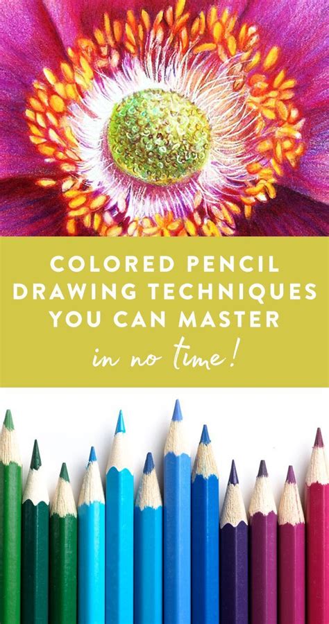 Theres So Much You Can Do With Colored Pencils â€” Why Limit Yourself