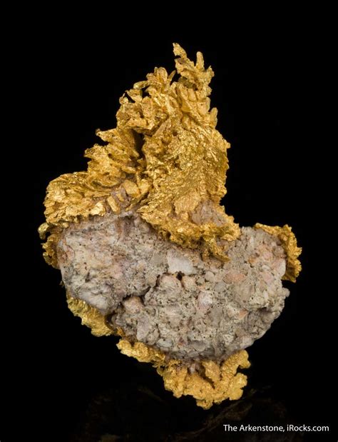 Maybe you would like to learn more about one of these? Gold on Quartz - MAU-11 - Duketon - Australia Mineral Specimen