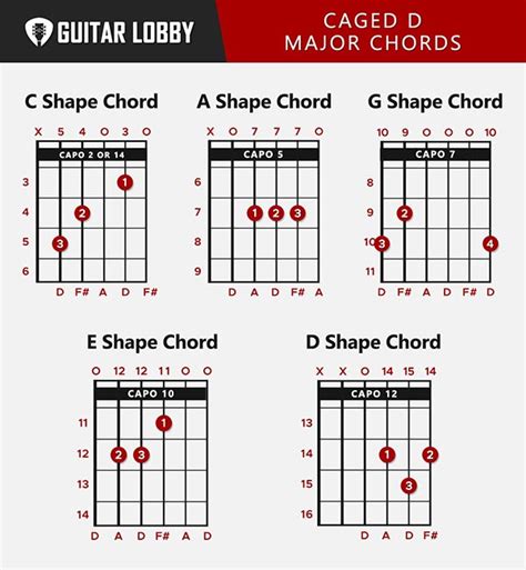 D Guitar Chord Guide 8 Variations And How To Play Guitar Lobby