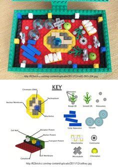 Find professional lego 3d models for any 3d design projects like virtual reality (vr), augmented reality (ar), games, 3d visualization or. 1000+ images about Animal and Plant Cell Models on ...