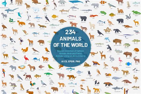 234 Animals Of The World Animal Illustrations Creative Market
