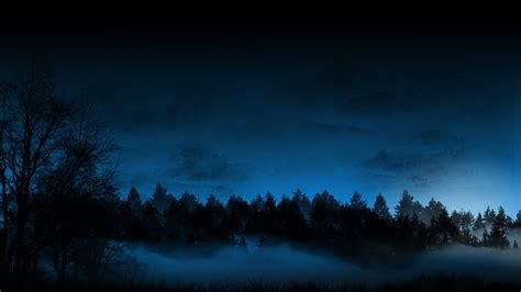 Trees Forest Night Fog Mist Blue Cg Sky Wallpaper 1920x1080 46429