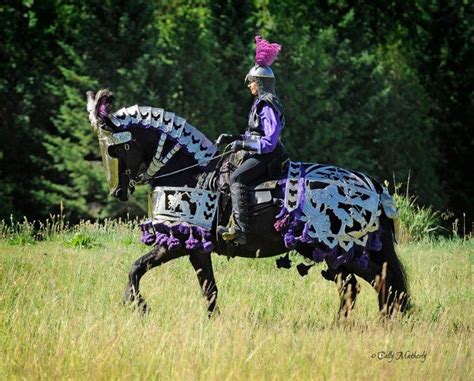 Starry Knight Friesians Located In Algoma Wisconsin Photography By
