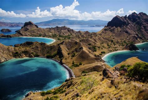 A number of residents living in komodo village once tell a tale that the island is actually has a rich gold ore content. 3 Day 2 Night Komodo Tour: Exploring the Home of the Dragons