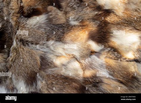 Fur Coat From Pieces Of Fur Of Different Animals As A Background Stock