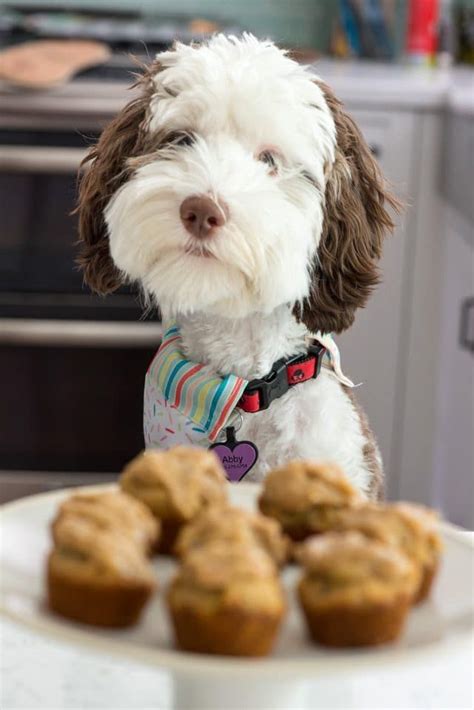 Peanut Butter Pupcakes Are Cupcakes For Dogs These Easy Cupcakes Have