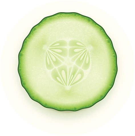 Royalty Free Cucumber Clip Art Vector Images And Illustrations Istock