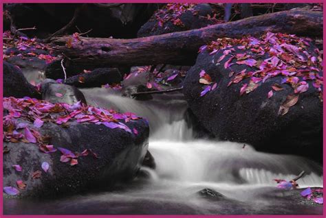 Purple Waterfall Photograph By Dan Sproul