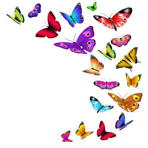 Top 60 Butterfly Clip Art Vector Graphics And Illustrations Istock