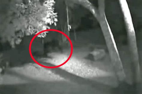 Video Werewolf Spotted In Terrifying Cctv Footage Daily Star