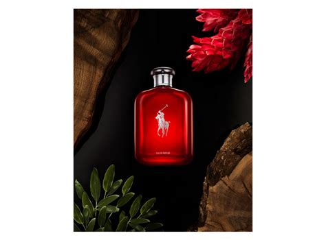 Ripley Ralph Lauren Polo Red Eau De Parfum 200 Ml