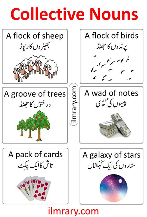 50 Common Collectives Nouns In Urdu With Examples ILmrary