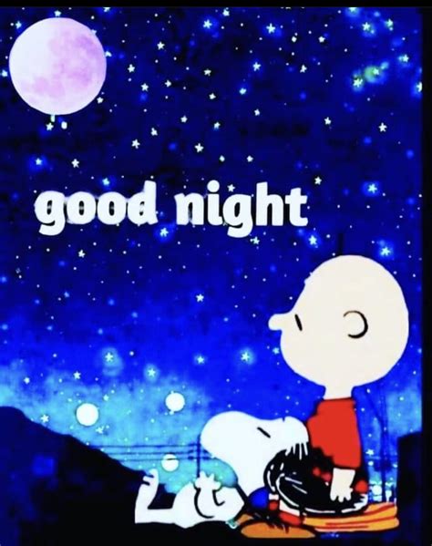 Pin By Kar3n59 On Snoopy And The Gang Snoopy Happy Dance Goodnight