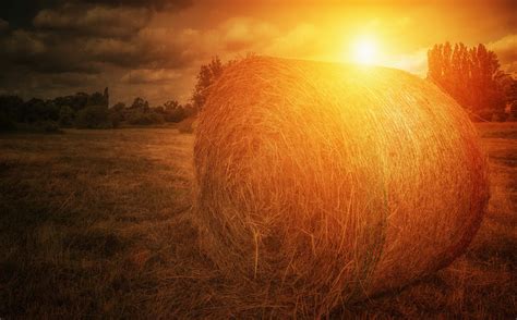 Haystack Wallpapers Pictures Images