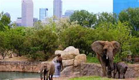 The Indianapolis Zoo Named One Of The Nations Best Indiana Public Radio