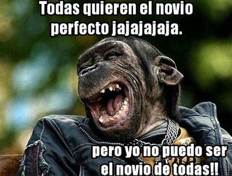 Imagenes de risa y chistosas for Android - APK Download