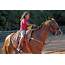Horseback Riding Lessons Offered At Fort Pierce Chupco Youth Ranch 