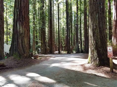 burlington-campground-humboldt-redwoods-state-park-03 | CampgroundViews.com