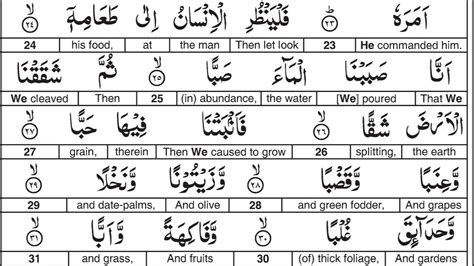 Surah 080 Abasa By Al Afasy Word For Word English Translation Youtube