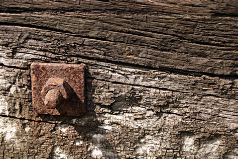 Free Photo Rusted Metal Bolt In Wood Bolt Coroded Metal Free