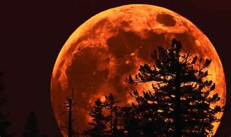 The pink moon — the second largest full moon of 2021 — will light up the night sky shortly before related: Today's Full Moon is Last Supermoon of 2017, Moon Before ...