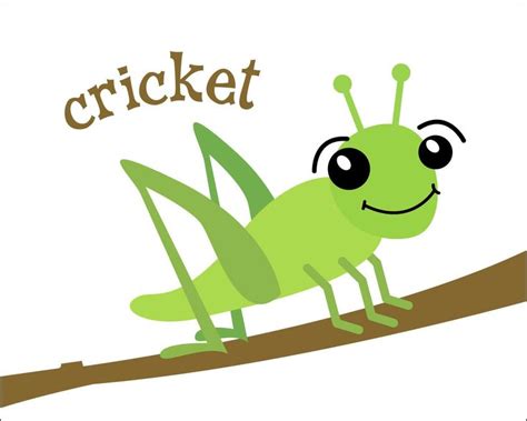 Cute Cricket Insect Clipart Clipart Kid Getting Rid Of Crickets