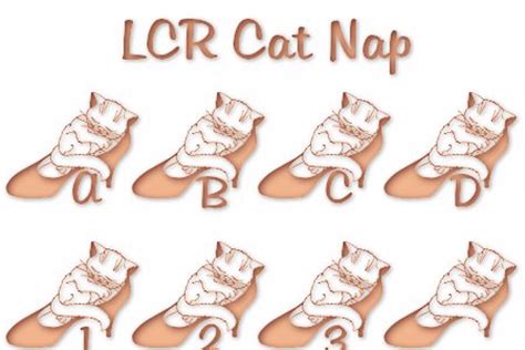 Lcr Cat Nap Font Lechefrene Fontspace