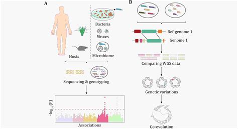 Genetic Variation And Function Revealing Potential Factors Associated