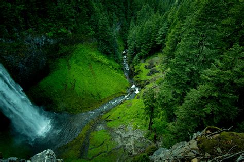 Free Images Tree Nature Waterfall Wilderness Wood River Stream