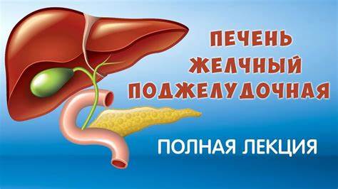Желчный пузырь диета и лечение Печень. Желчный Пузырь, Поджелудочная железа. Болезни и лечение. Фролов Печень. Желчный Пузырь, Поджелудочная железа. Болезни и лечение. Фролов Желчный пузырь диета и лечение