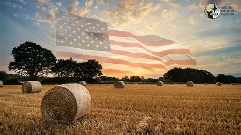 A Large American Flag Flying Over Hay Bales In A Field With Trees And