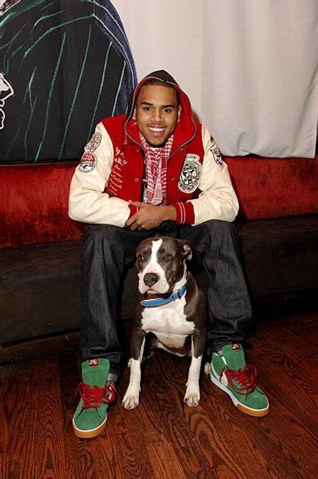 Celebrities And Their Dogs 9 Photos