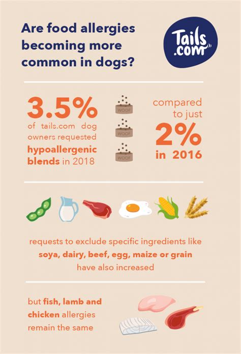 Does My Dog Have A Food Allergy The Inside Scoop