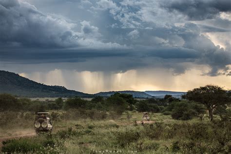 Photographing The Great Migration In Tanzania Petapixel