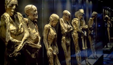 Selain nyaman, hotel kapsul ini. 10 Museum Teraneh yang Ada di Seluruh Dunia - Blog Hotel Bobobox Indonesia