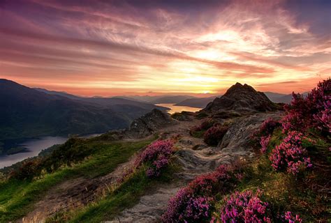 Highland Heather Most Beautiful Places Scotland Landscape Landscape