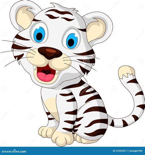 Cute Baby White Tiger Posing Royalty Free Stock Photography Image