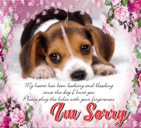 My Cute Apology Ecard Free Sorry Ecards Greeting Cards 123 Greetings