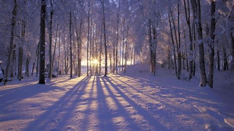 Beautiful Winter Sunrise In The Forest Hd1080p Hd Desktop Wallpaper