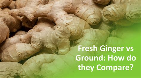 fresh ginger vs ground how do they compare