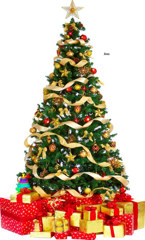 Banco de Imágenes: 14 imágenes de pinitos de Navidad PNG - Christmas Trees png image