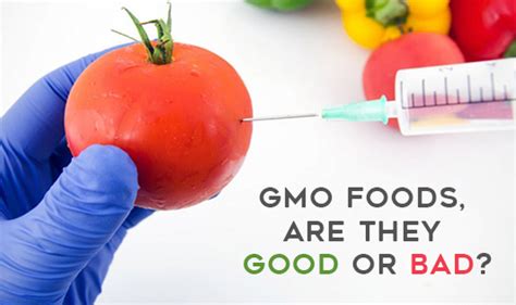 Gmo Foods Are They Good Or Bad The Wellness Corner