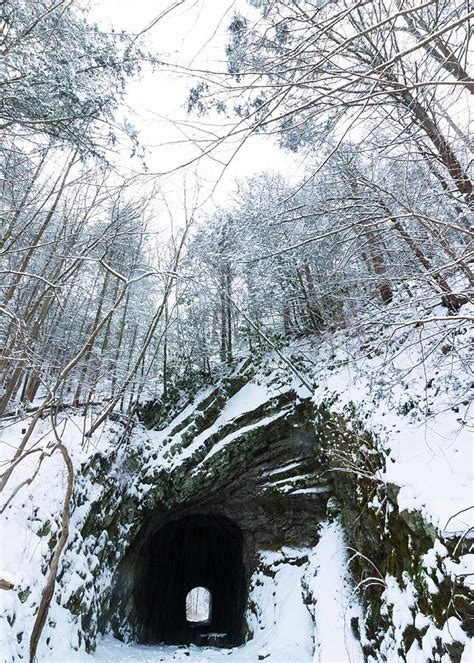 Snowy Tunnel Photograph By Heather Scully