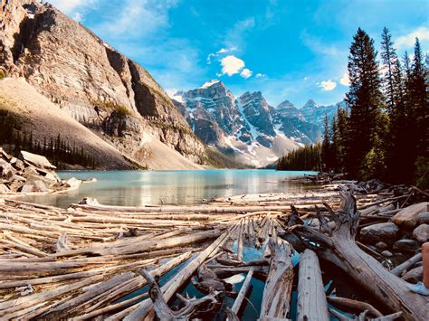 Filemoraine Lake In Banff National Park With Floating