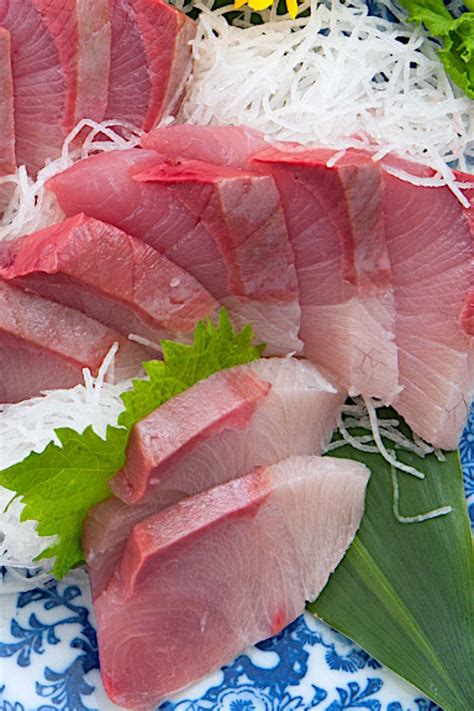 Japanese Hamachi Sushi Grade 1 Lb Frozen — Pagu