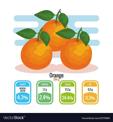 Fresh Oranges With Nutrition Facts Royalty Free Vector Image