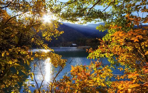 Japan Nikko Tochigi Mountain Lake Trees Sun Rays Autumn
