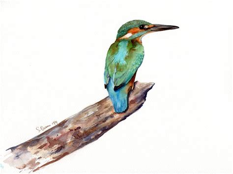 Kingfisher Original Watercolor Bird Painting Nature