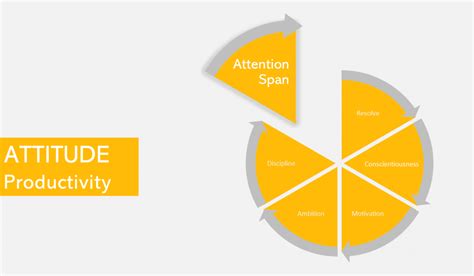 Attention Span In Productivity Spark Principles For Success