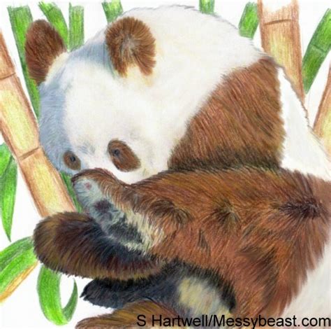 Rare And Extinct Creatures Sepia Giant Panda Brown Giant Panda